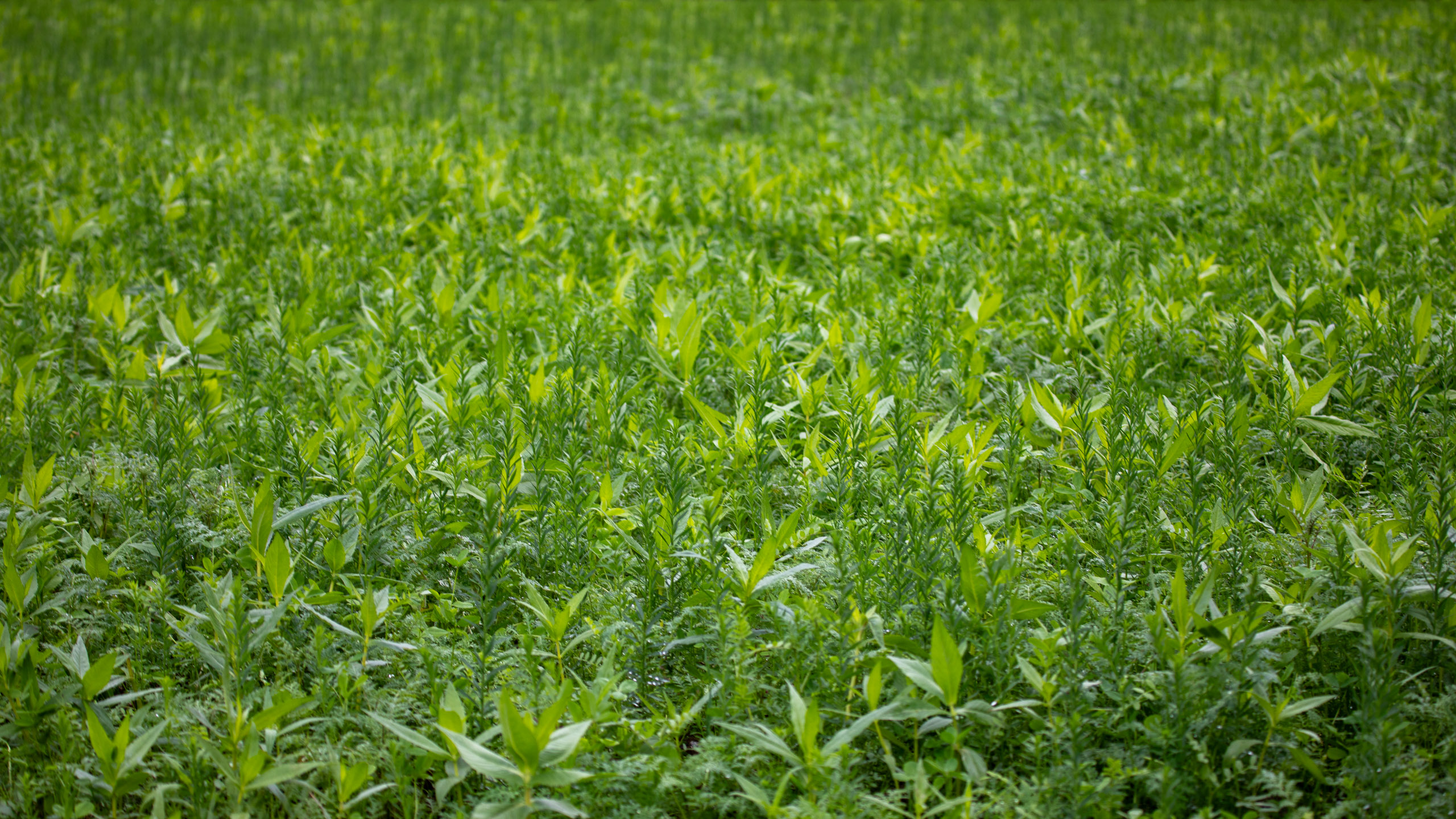 20231015103853 RD4 4740